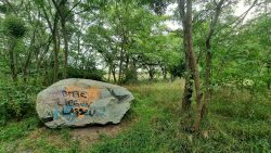 Das fand ich sehr witzig