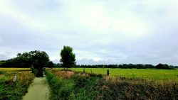 Weiter Blick am 66-Seen-Wanderweg