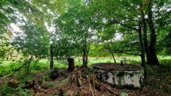 Relikte alter Zeit am Wegesrand
