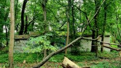 Verlassene Gebäude hinter Zäunen nähe Landgut Nedlitz