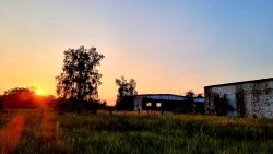Blick auf Lagerhallen und die untergehende Sonne