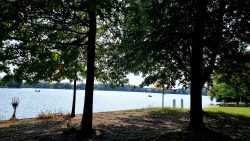 Zurück am Westufer, Blick auf die Zitadelle