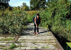 Die Panzerbrücke auf dem Weg zum Flugplatz