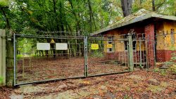 Erste Blicke auf das Gelände der Grabower Heilstätten