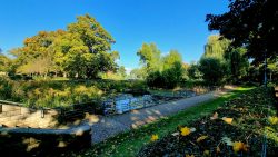 Wröhmännerpark, Der Seerosenteich