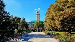 Blick auf das Rathaus von der Havelpromenade