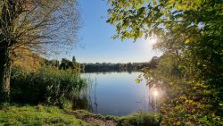 Blick auf den Grimnitzsee