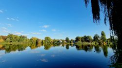 Windstille auf dem Grimnitzsee