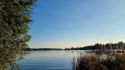Havelblick auf die Segelschule Havel, Pichelsdorf