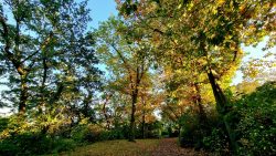 Wege an der scharfen Lanke