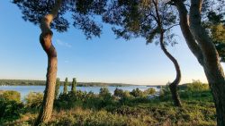 Von der Weinmeisterhöhe, Blick auf die Havel