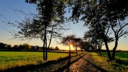 Unendlich scheinende Wege mit wunderschönen Alleen