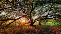 Die Wege zum Hahneberg