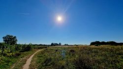 Feldwege in den Rieselfeldern
