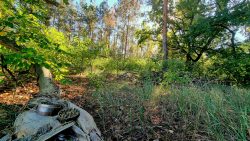 Hier wurde etwas anderes am Wegesrand vergessen