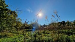 Feuchte Wiesen und schmale Wege