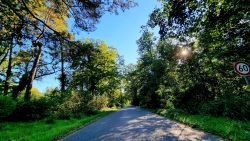 Ein Stück an der Strasse entlang, in der Nähe der Waldsiedlung
