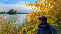 Herbstwonnen am Gr. Glienicker See