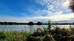 Groß Glienicker See mit Bauminseln