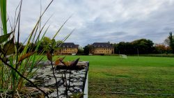 Der Sportplatz in Mitten von historischen Gebäuden