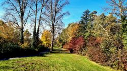 Der Wanderweg am Aalemannkanal