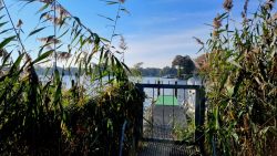 Bootssteg  Tegel Ort