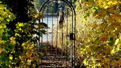 Steganlagen an der Havel