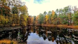 Der See im Wald, in der Nähe der Flakstellung