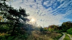 Wege aus Michendorf heraus