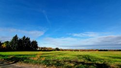 Wiesen und Felder bei Michendorf