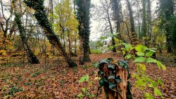 Erster Blick auf den Seddiner See