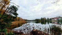 Am Seddiner See angekommen