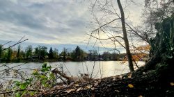 Wolkenspiel über dem Seddiner See