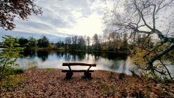 Die einsame Bank am Seddiner See