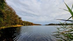 Der glasklare Seddiner See