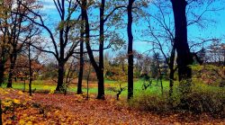 Auf dem Weg zum Murellenteich