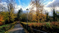 Terrassenförmige Anlage im Friedhof an der Heerstraße