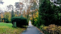 Endlose Wege am Sausuhlensee entlang