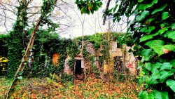 Verlassenes Areal an der Parkstraße