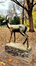 Afrikanische Gazelle im Bürgerpark Pankow