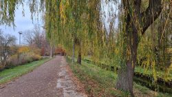 An der Panke kurz vor dem Franzosenbecken