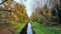 Brücke über die Panke, Höhe Abenteuerspielplatz