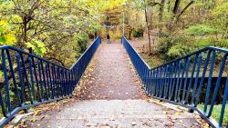 Gotenburger Steg über die Panke