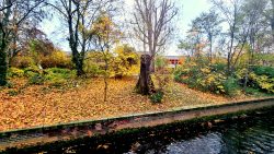 Die alte Grundschule meiner ersten beiden Kinder