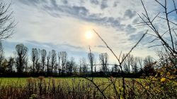 Die tief stehende Sonne zwischen den Feldern am Fließgraben