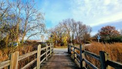 Kleine Brücke am Blankenburger Pflasterweg