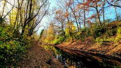 Am Ufer des Fließgrabens