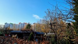 Die Häuser des Merkischen Viertels