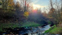 Der Nordgraben bei Wilhelmsruh