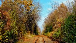 Über die Schlienen der Bahn